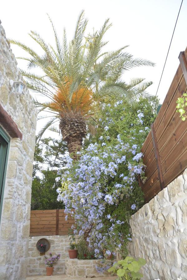 פיטסידיה Joakim'S Villa מראה חיצוני תמונה